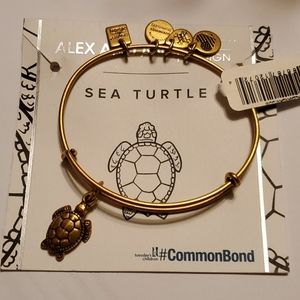 Alex and Ani 🐢 Sea Turtle 🐢 Goldtone Bracelet